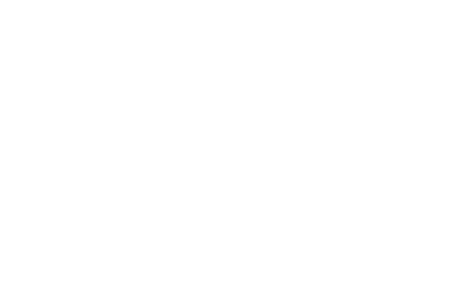 Solinksy clients bc childrens hospital foundation reverse logo450x300